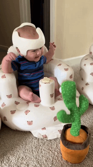 The Dancing & Talking Cactus™