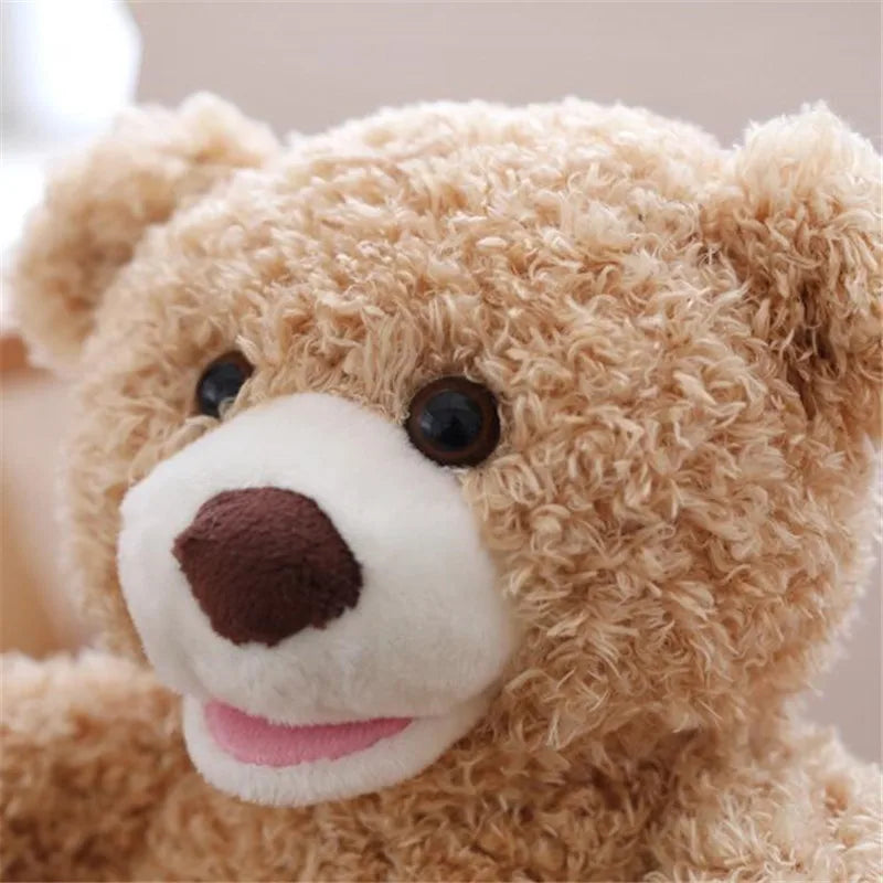 Hide&Seek Teddy Bear