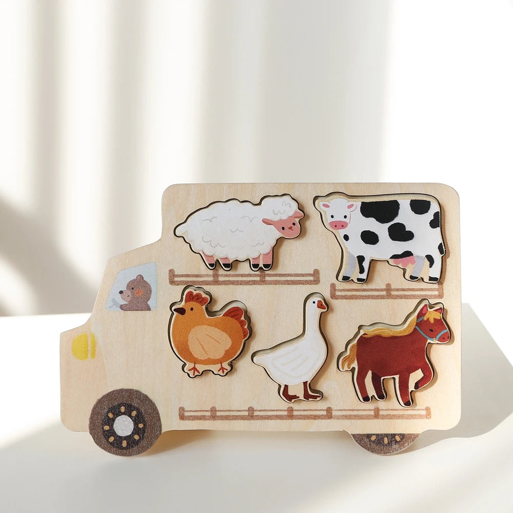 Wooden Puzzles Toy